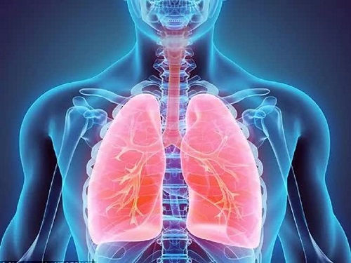 đông trùng hạ thảo có tác dụng thế nào đối với phổi