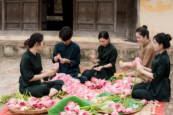 Dịch vụ sấy thăng hoa chè ướp sen, trà bông sen